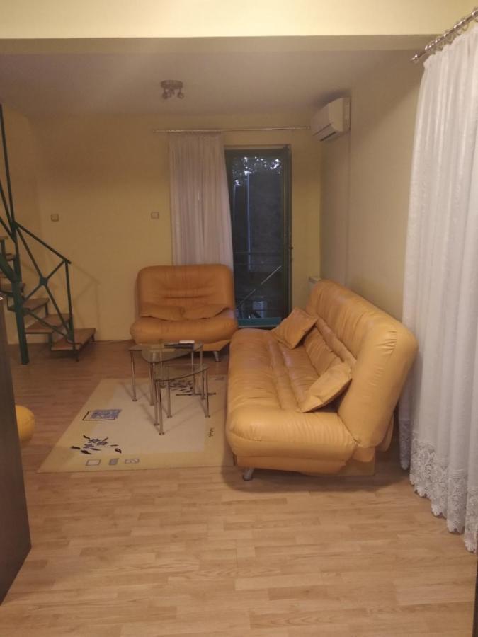 Villa Zeleni Raj Vrnjačka Banja Esterno foto